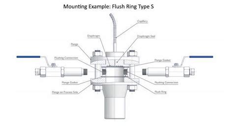 flushing ring for diaphragm seals.